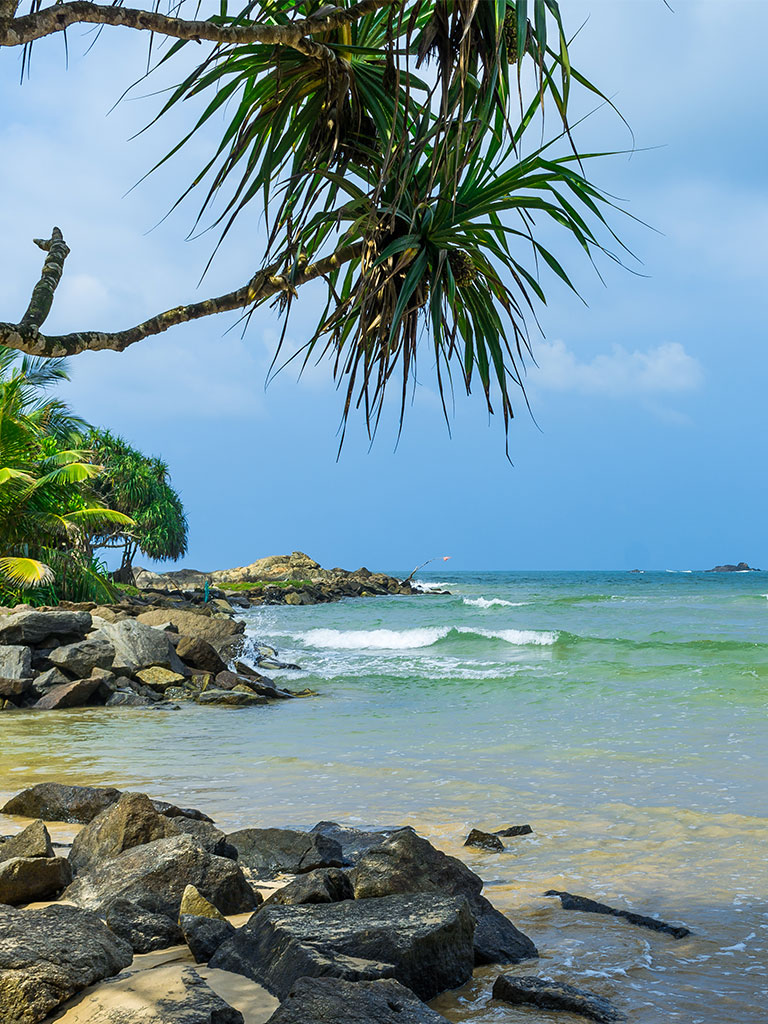 Beach Stay